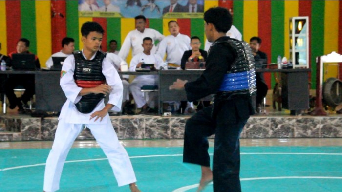 Didukung Disparpora, IPSI Rohil Gelar Kejuaraan dan Seleksi Atlet Menuju POPDA 2026