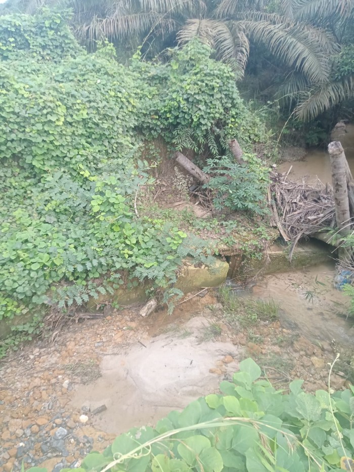 Dua Tahun Terputus, Warga Tiga Kepenghuluan di Balai Jaya Harapkan Pembangunan Jembatan Tahun 2026