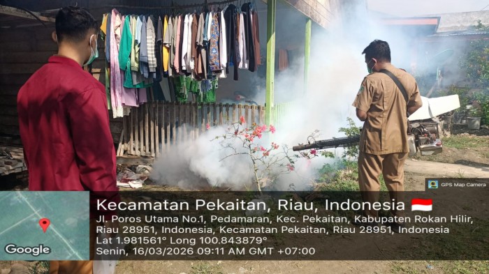 Gambar Artikel