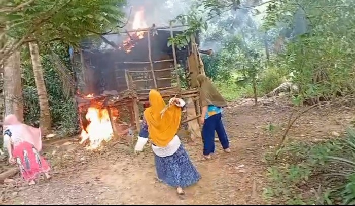 Gambar Artikel