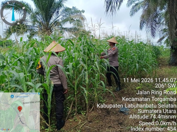 Gambar Artikel
