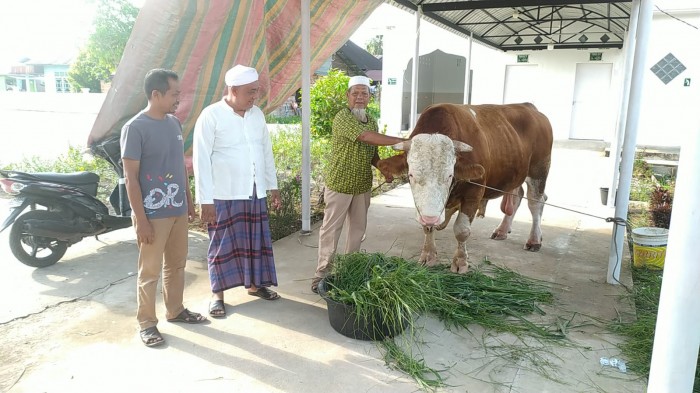 Gambar Artikel