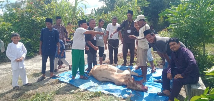 Gambar Artikel