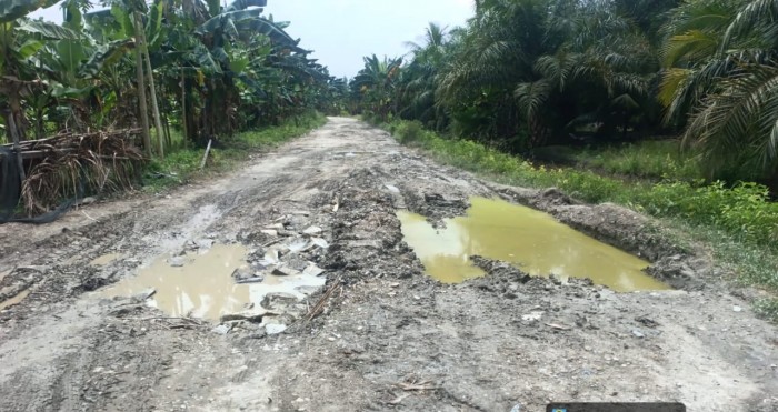 Gambar Artikel
