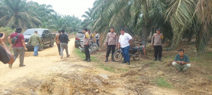 Gambar Artikel